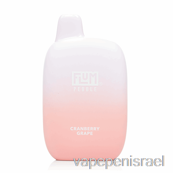 חד פעמי Vape Israel Flum Pebble 6000 חד פעמי ענבי חמוציות